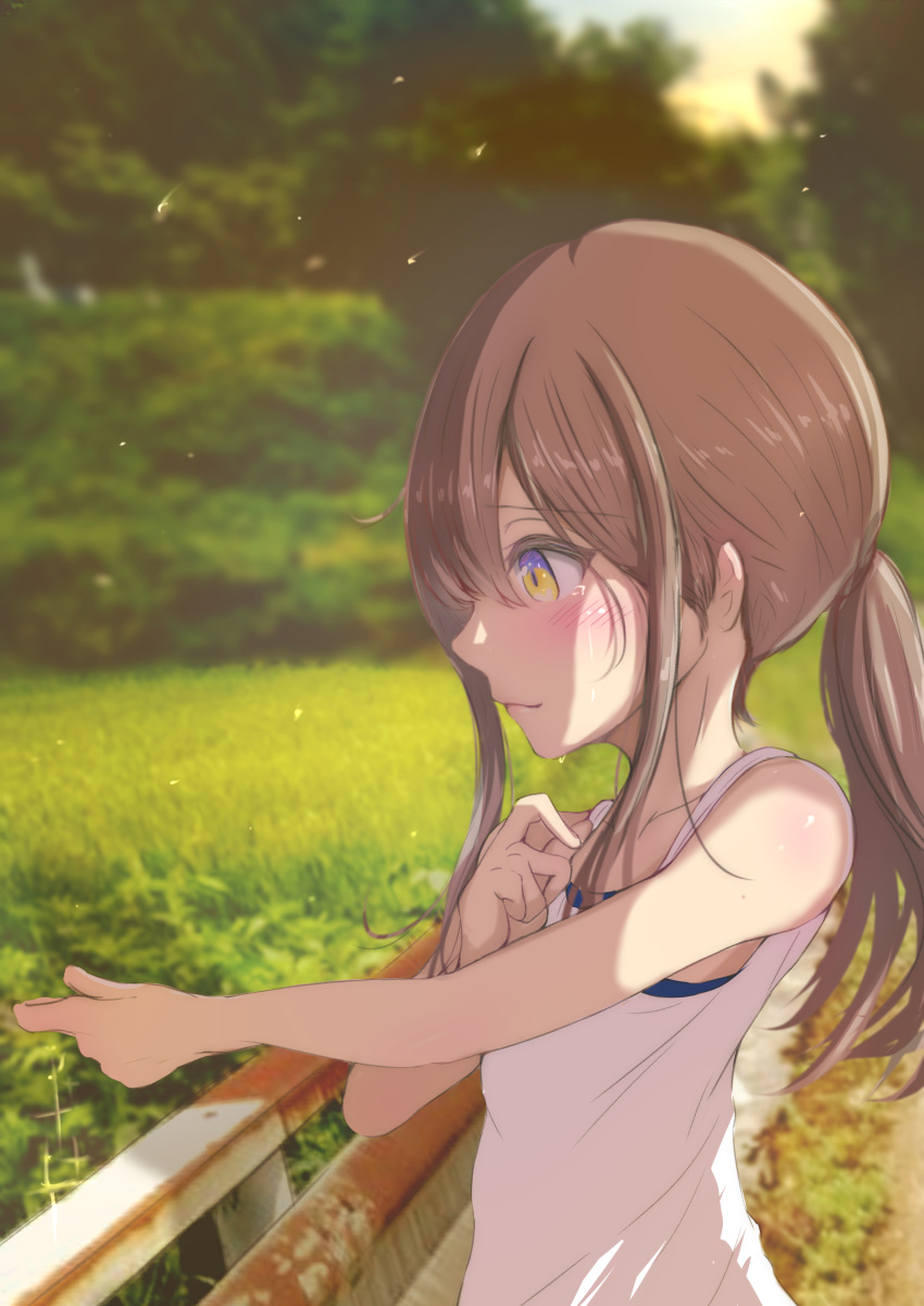 1girl, absurdres, blush, brown_hair, closed_mouth, evening, grass, hair_between_eyes