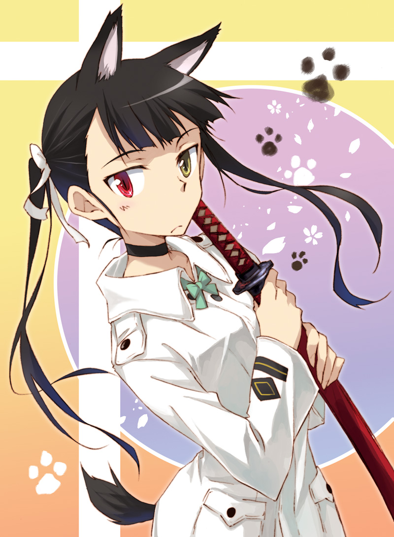 agahari, animal_ears, bow, choker, cosplay, dog_ears, dog_tail, francesca_lucchini