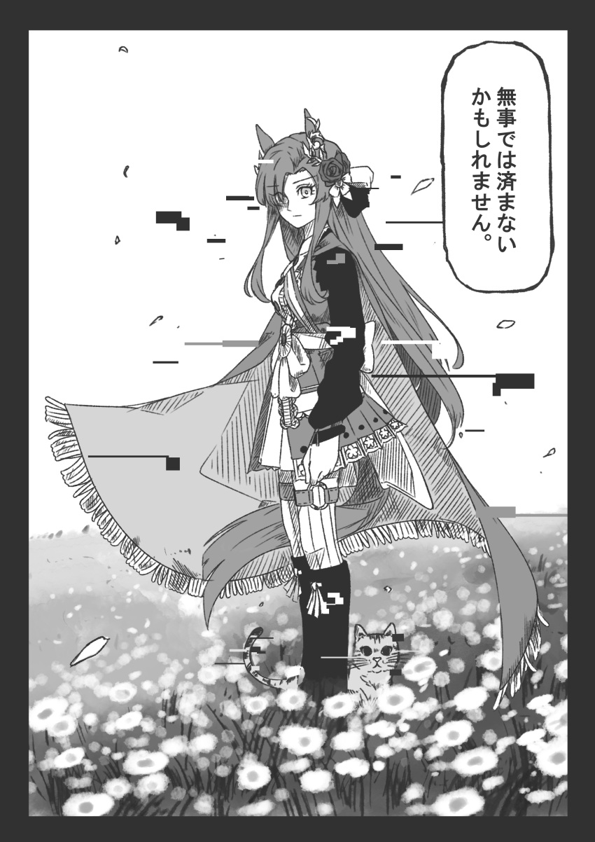1girl, absurdres, animal_ears, baldric, black_border, boots, border, cat, cloak, ear_ornament, falling_petals, flower, glitch, hair_flower, hair_ornament, highres, horse_ears, horse_girl, horse_tail, kincsem_(racehorse), knee_boots, kopperion, long_hair, long_sleeves, looking_at_viewer, looking_to_the_side, original, outdoors, personification, petals, sidelocks, skirt, solo, speech_bubble, standing, tail, thigh_strap, translation_request, trimmed_tail, umamusume, very_long_hair, wrist_straps