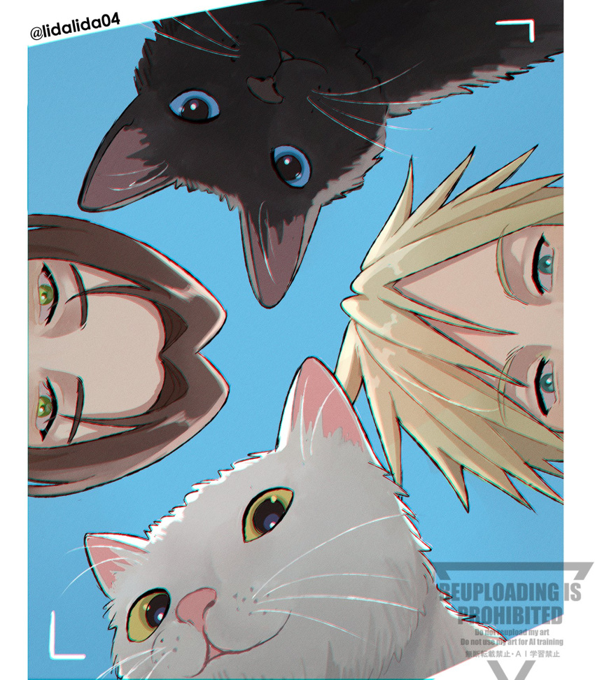 1boy, 1girl, aerith_gainsborough, black_cat, black_fur, blonde_hair, blue_background, blue_eyes