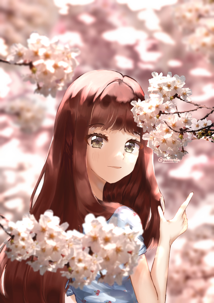 1girl, absurdres, blue_shirt, blurry, blurry_foreground, brown_hair, cherry_blossoms, commentary, flower, from_behind, grey_eyes, highres, light_smile, long_hair, looking_back, open_mouth, original, pink_flower, pointing, shirt, solo, symbol-only_commentary, twitter_username, yuunarichu