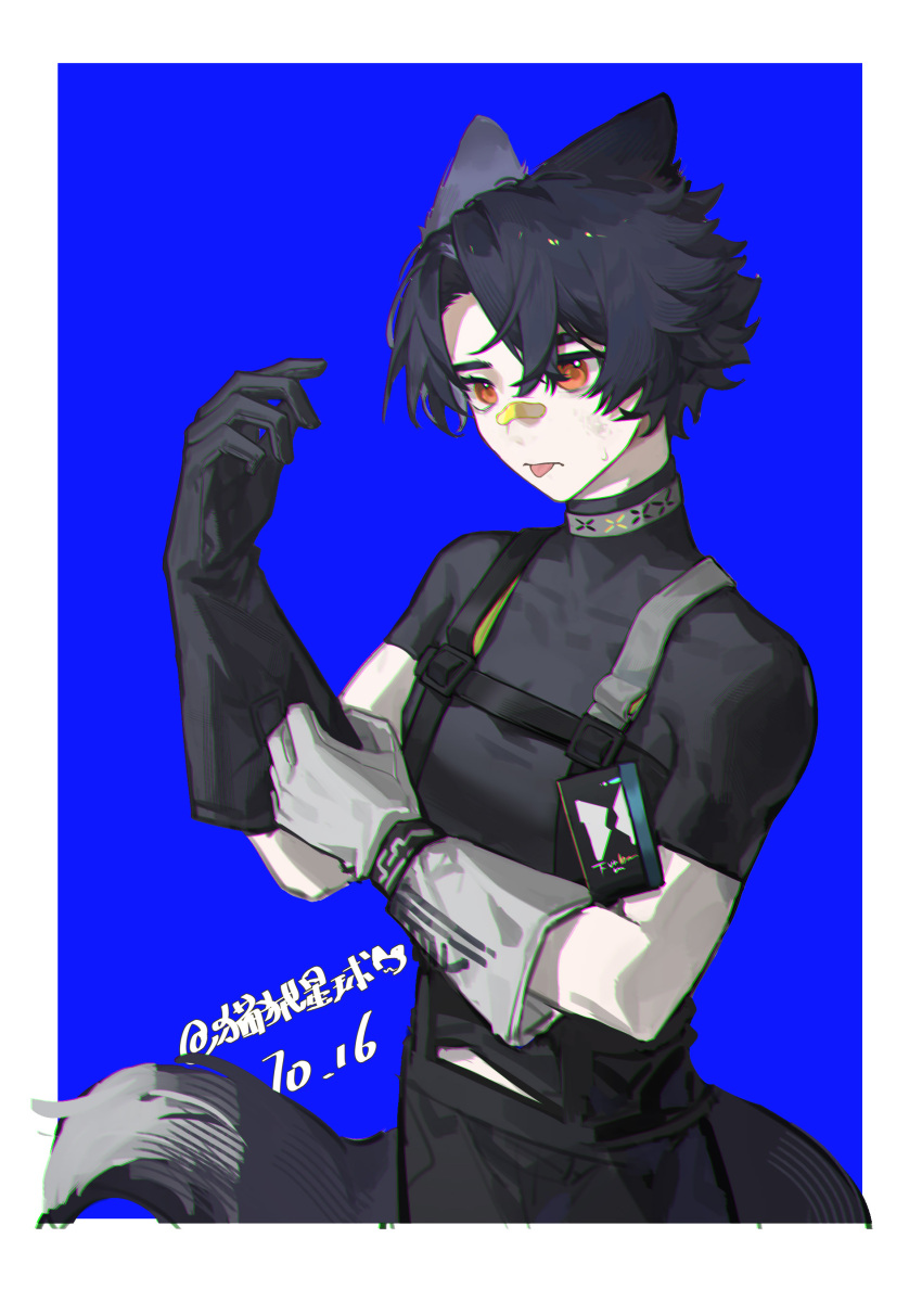 1boy, :p, absurdres, animal_ears, arknights, artist_name, asymmetrical_gloves, bandaid