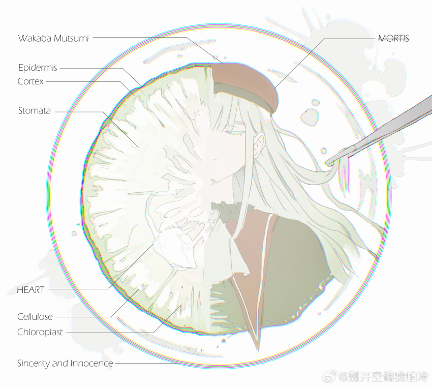 1girl, ascot, bang_dream!, bang_dream!_it's_mygo!!!!!, black_capelet, capelet, chinese_commentary, chromatic_aberration, closed_eyes, closed_mouth, commentary_request, cucumber, diagram, dissection, green_hair, hat, highres, long_hair, mortis_(bang_dream!), petri_dish, red_hat, reiboubyou, solo, wakaba_mutsumi, watermark, weibo_watermark, white_ascot