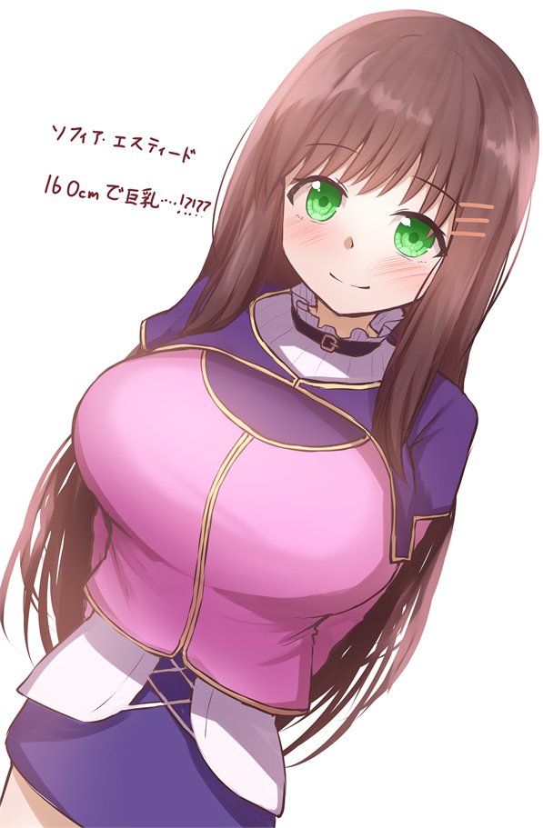 1girl, blush, breasts, brown_hair, closed_mouth, green_eyes, hair_ornament, hairclip