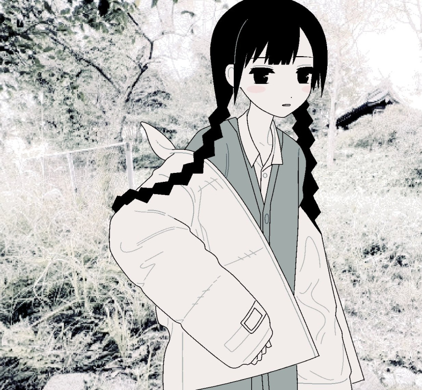 1girl, black_hair, braid, cardigan, collared_shirt, dress_shirt, expressionless, floating_hair
