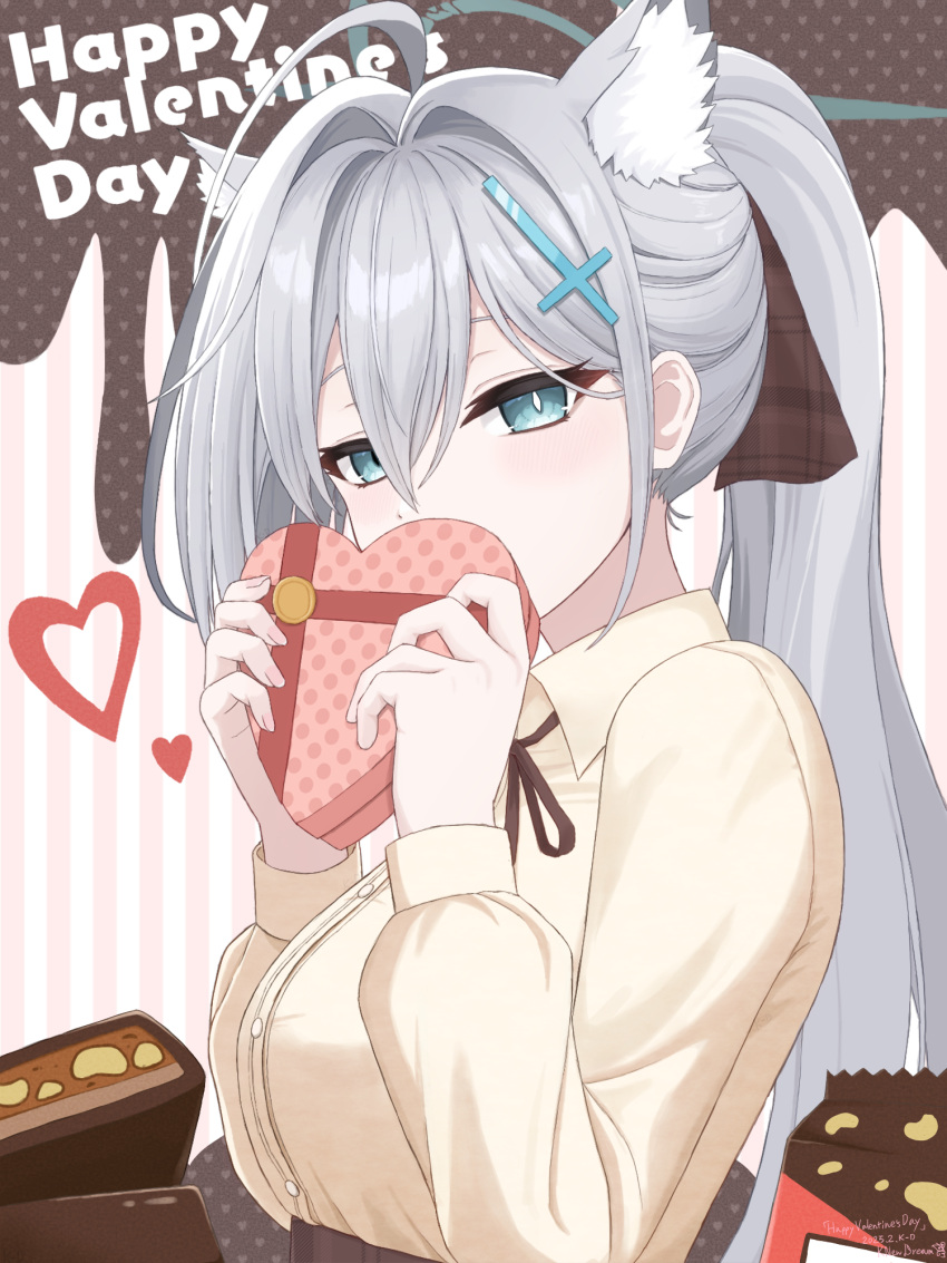 1girl, 2025, ahoge, alternate_costume, alternate_hairstyle, animal_ear_fluff, animal_ears, artist_name, blue_archive, blue_eyes, blush, box, bright_pupils, casual, chocolate, collared_shirt, commentary_request, covering_own_mouth, cross_hair_ornament, dated, eyebrows_hidden_by_hair, gift, grey_hair, hair_between_eyes, hair_intakes, hair_ornament, hands_up, happy_valentine, heart, heart-shaped_box, highres, holding, holding_gift, huge_ahoge, k-d, long_hair, long_sleeves, looking_at_viewer, mismatched_pupils, ponytail, shiroko_(blue_archive), shiroko_terror_(blue_archive), shirt, shy, sidelocks, simple_background, solo, tsurime, upper_body, valentine, very_long_hair, white_pupils, wolf_ears, yellow_shirt