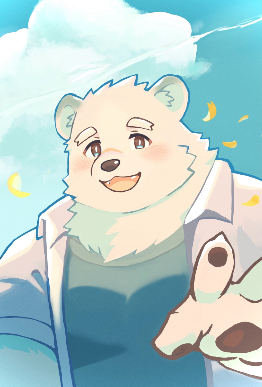 1boy, animal_ears, bear, bear_boy, bear_ears, black_shirt, blue_sky, blush