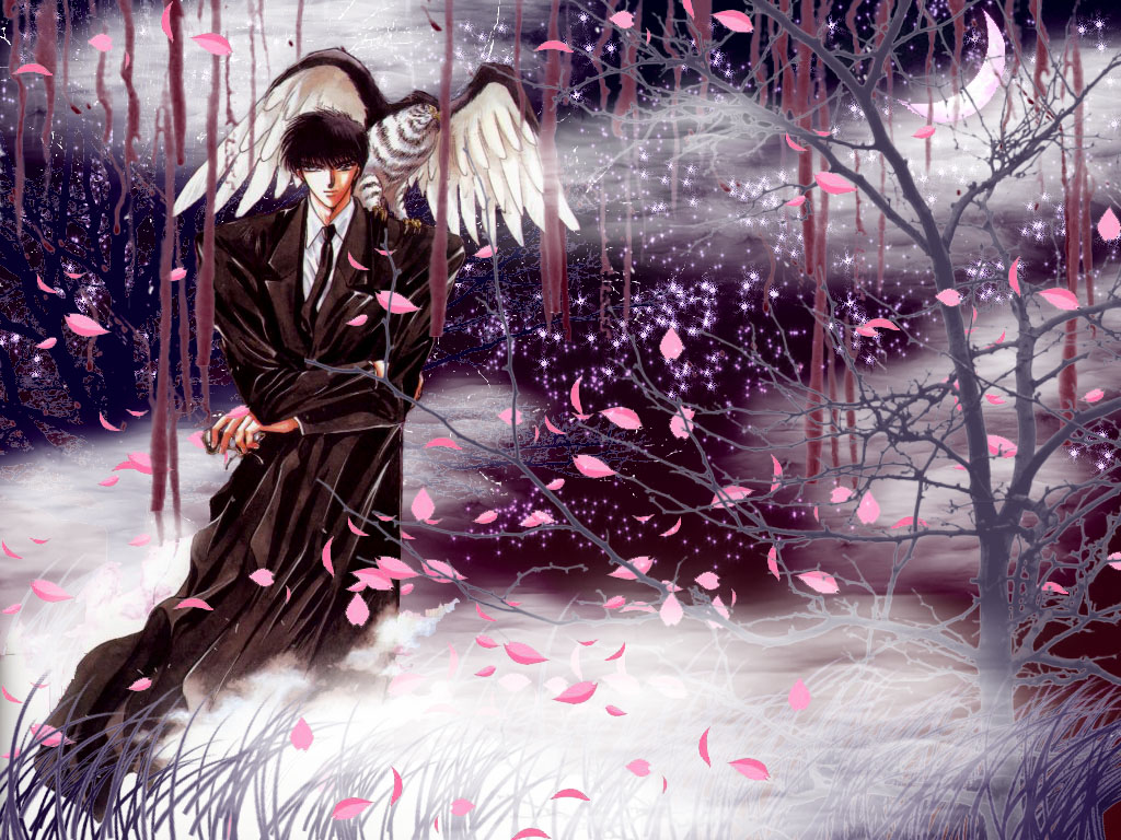 clamp, seishirou, tagme, x, x_1999
