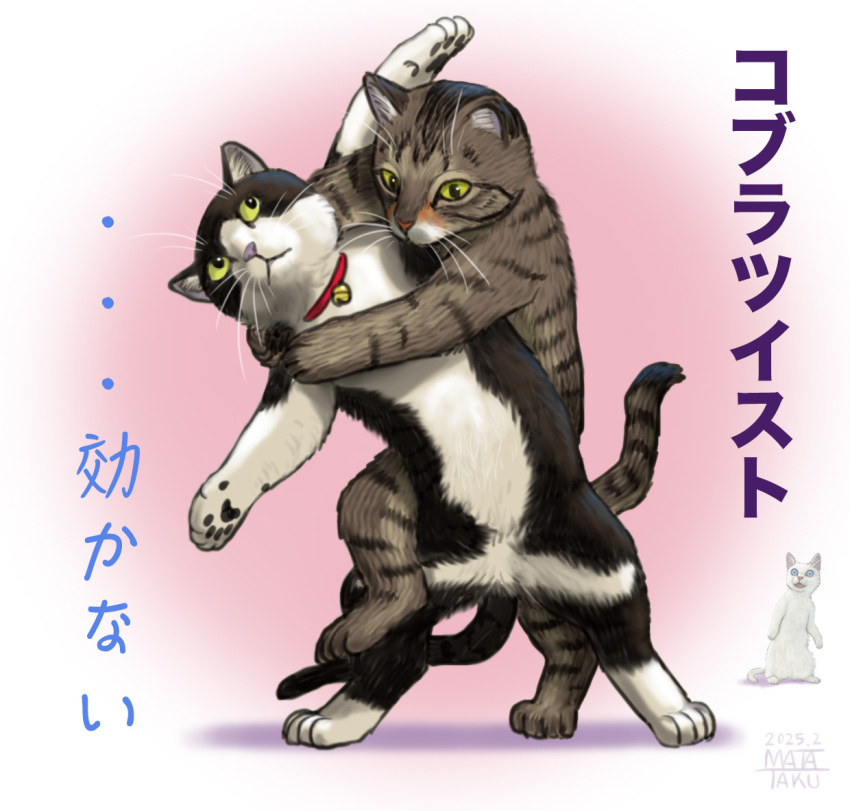 animal_focus, bell, cat, cobra_twist, dated, full_body, jingle_bell, matataku, neck_bell, no_humans, original, signature, standing, surprised_cat_(matataku), wrestling