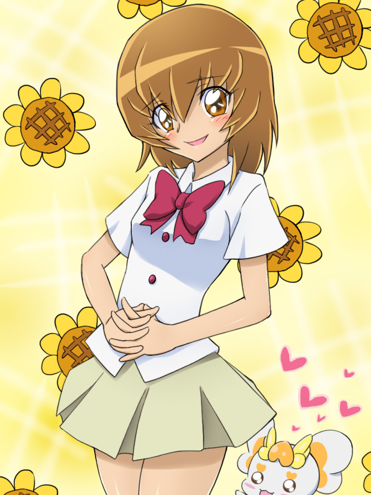 bow, brown_eyes, brown_hair, heart, heartcatch_precure!, mameshiba, mameshiba_(artist), myoudouin_itsuki