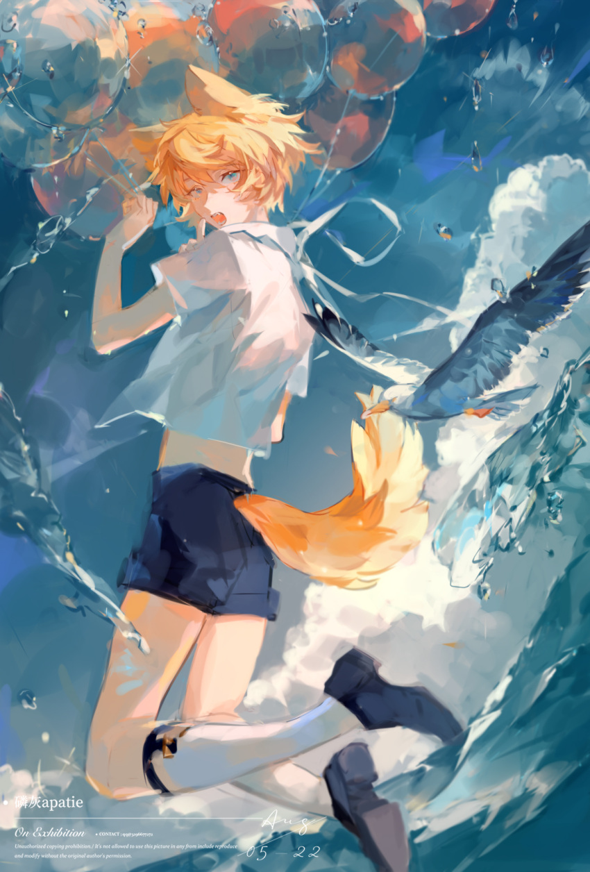 1boy, animal_ears, bird, blue_eyes, blue_sky, dog_ears, dog_tail, highres
