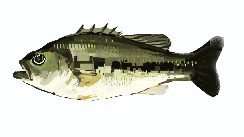 animal_focus, bass_(fish), commentary, english_commentary, fish, full_body, highres, junbuug
