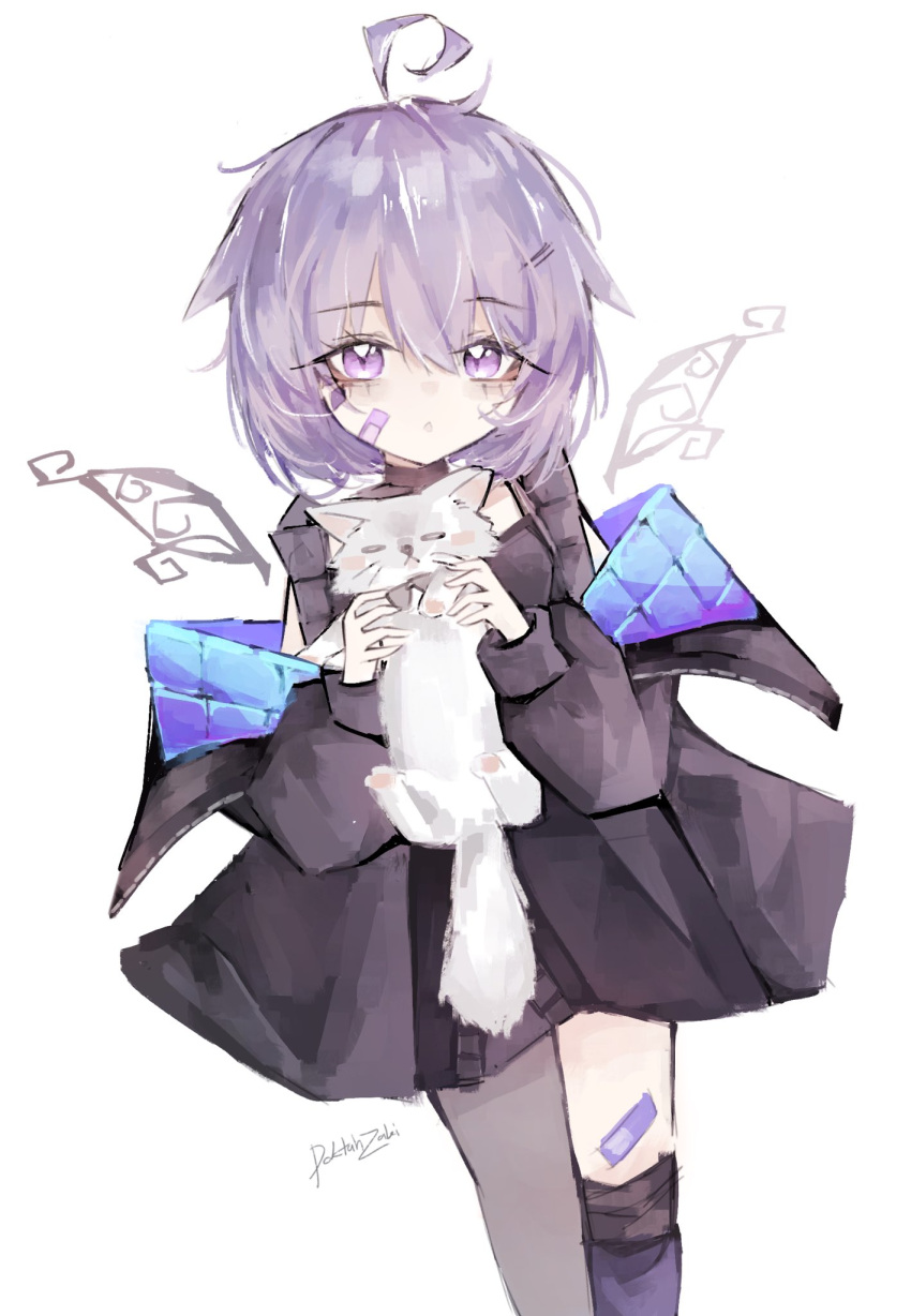 1girl, animal, bandaid, bandaid_on_cheek, bandaid_on_face, bandaid_on_knee, bandaid_on_leg, black_jacket