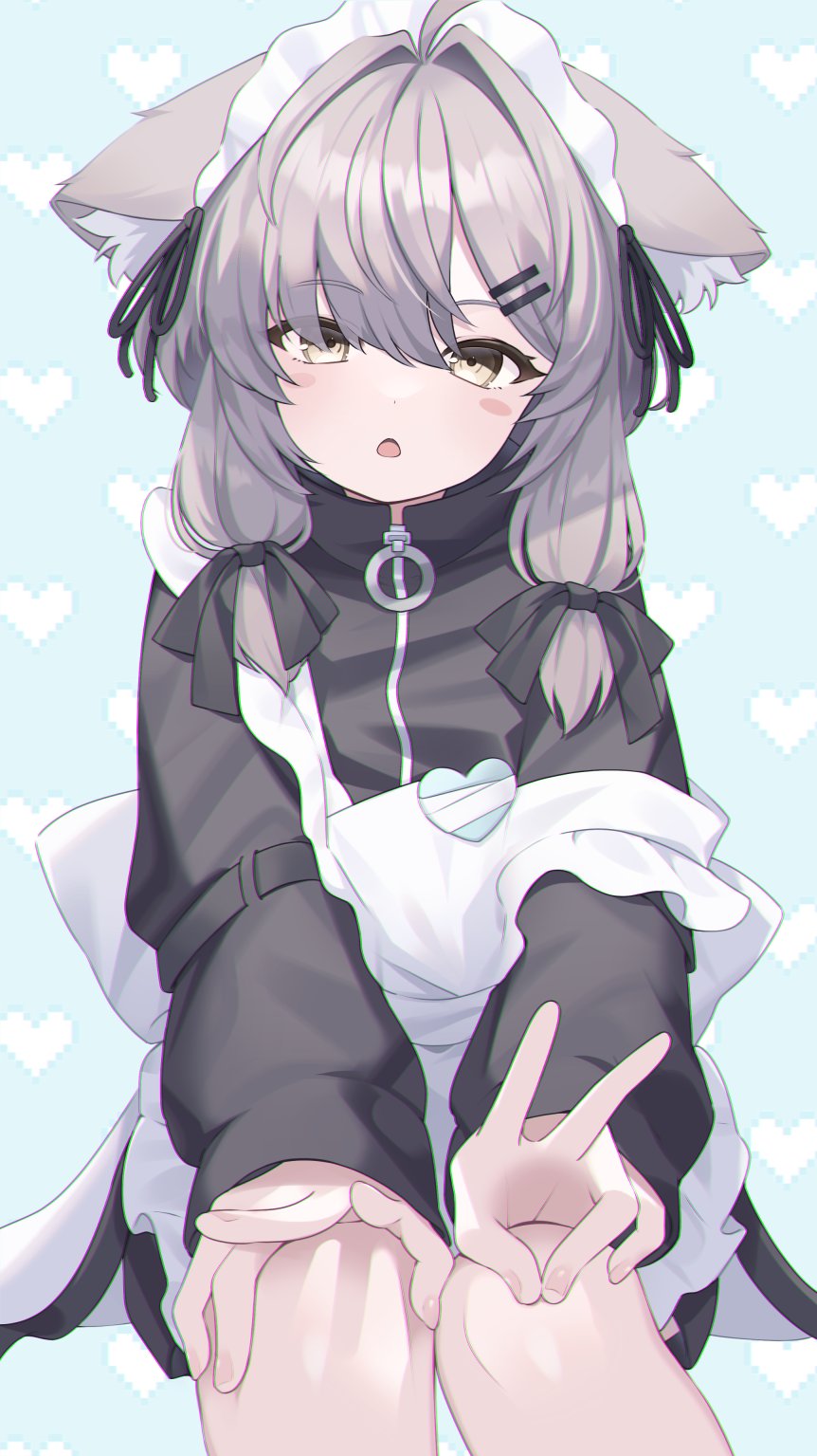 1girl, :o, ahoge, animal_ear_fluff, animal_ears, apron, black_jacket, black_ribbon