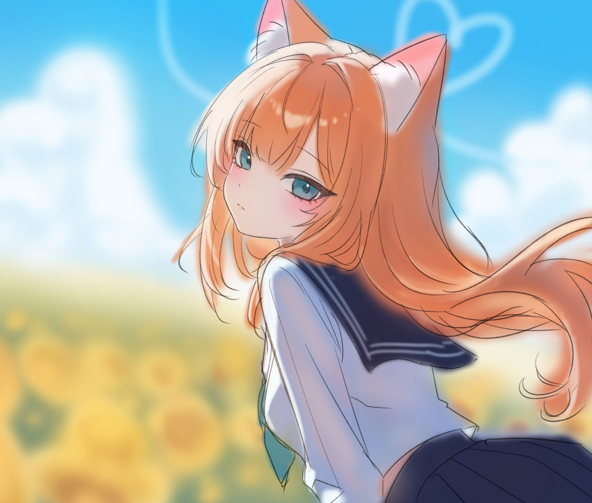 1girl, animal_ears, blue_archive, blue_eyes, blue_sailor_collar, blue_skirt, blurry, cat_ears