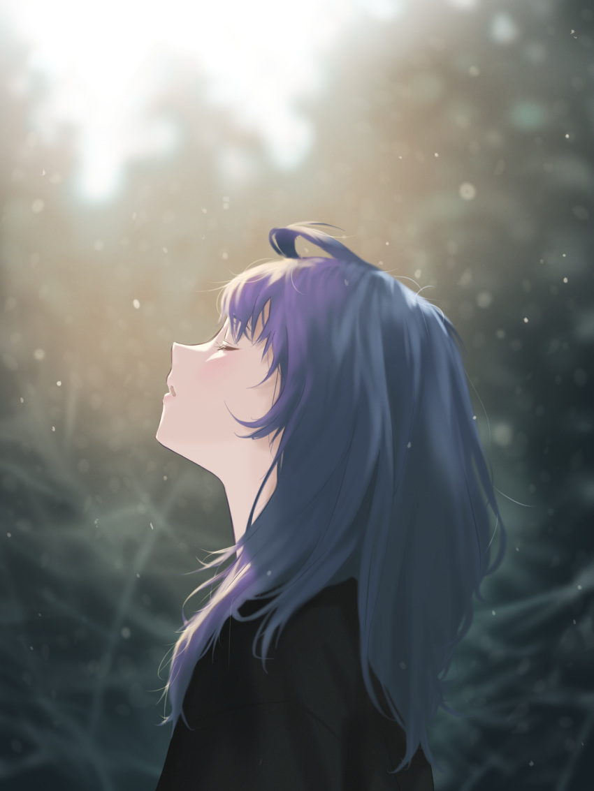 1girl, absurdres, ahoge, black_shirt, blue_hair, closed_eyes, commentary, from_side