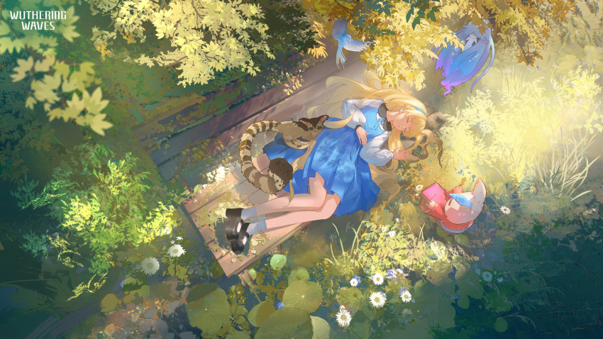 1girl, alternate_costume, bare_legs, black_shoes, blonde_hair, blue_dress, blue_hairband, closed_eyes, commentary, dress, english_commentary, from_above, hairband, highres, legs, logo, long_hair, lying, nimbus_wraith_(wuthering_waves), official_art, on_bench, on_side, outdoors, phoebe_(wuthering_waves), shirt, shoes, sleeping, socks, solo, tacet_discord_(wuthering_waves), white_shirt, white_socks, wuthering_waves