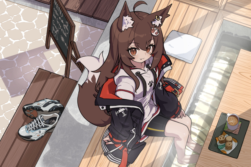 1girl, :3, animal_ears, barefoot, bike_shorts, biscuit_(bread), black_jacket, black_shorts