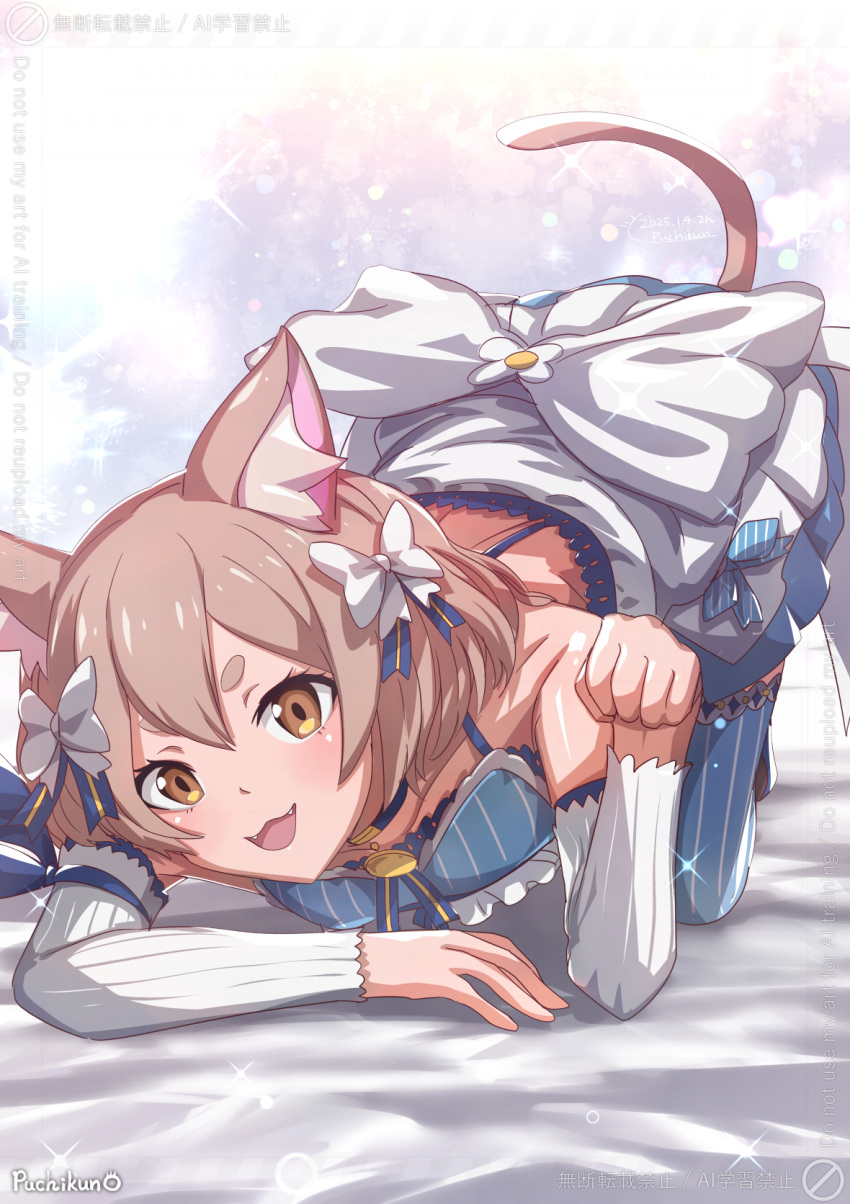 1boy, animal_ears, blue_choker, blue_ribbon, blush, bow, brown_eyes, brown_hair