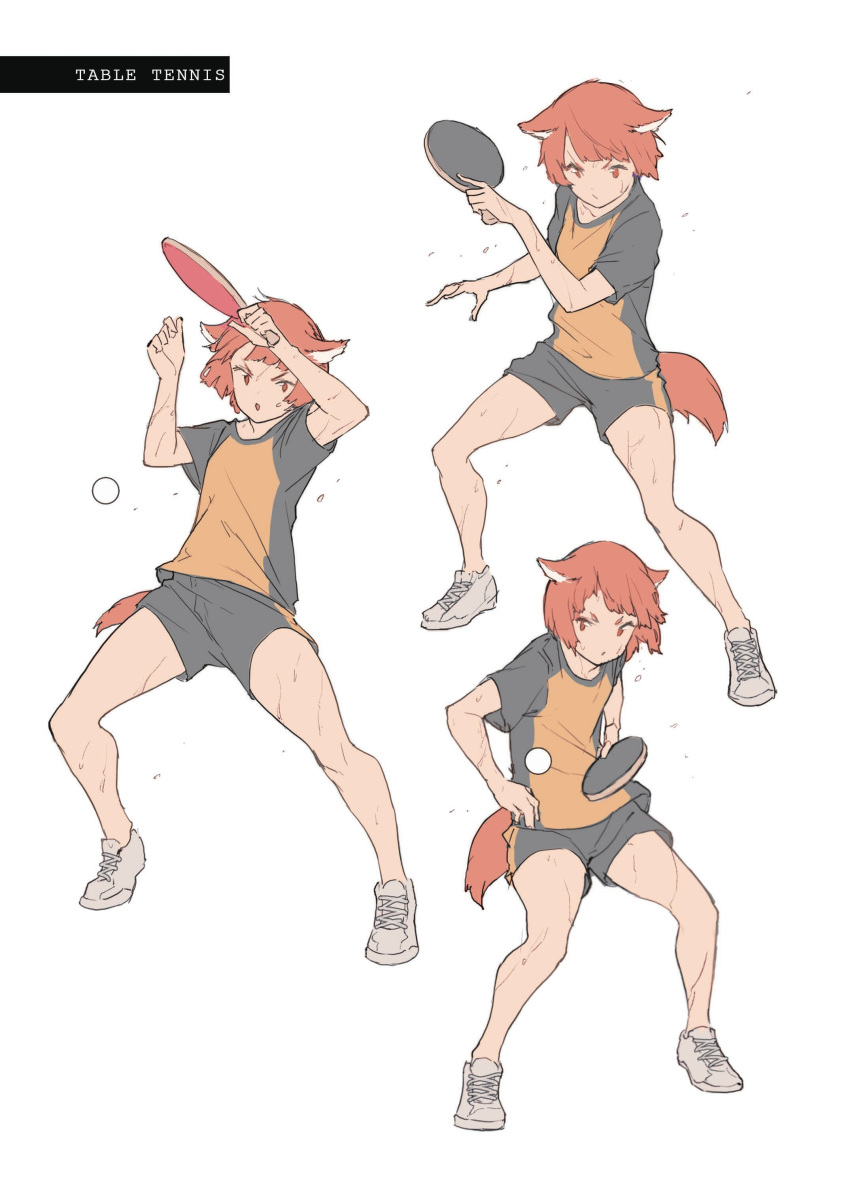1boy, absurdres, animal_ears, ball, dog_ears, dog_tail, full_body, hands_up