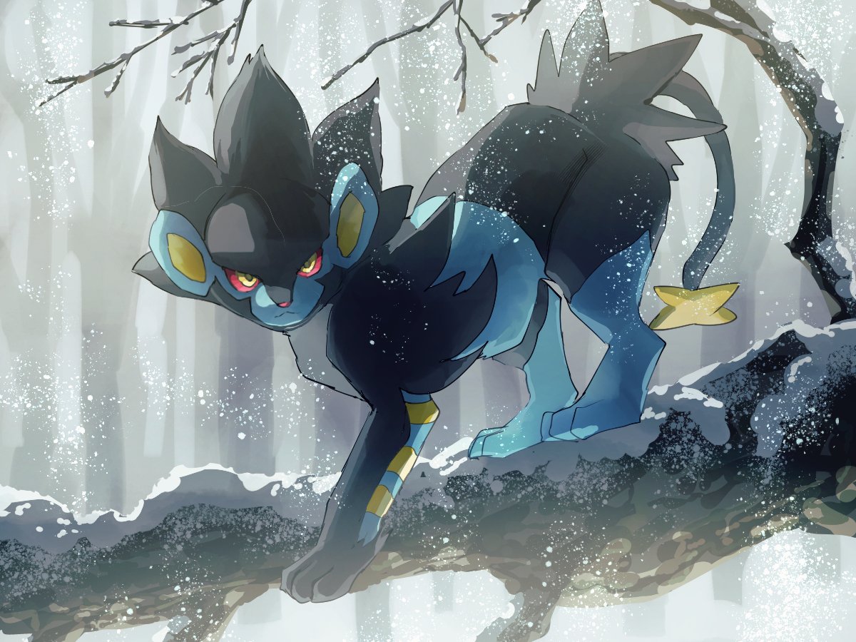 all_fours, black_eyes, black_fur, blue_fur, branch, colored_sclera, forest, fusenryo, looking_at_viewer, luxray, nature, no_humans, pokemon, pokemon_(creature), snowing, two-tone_fur, yellow_sclera