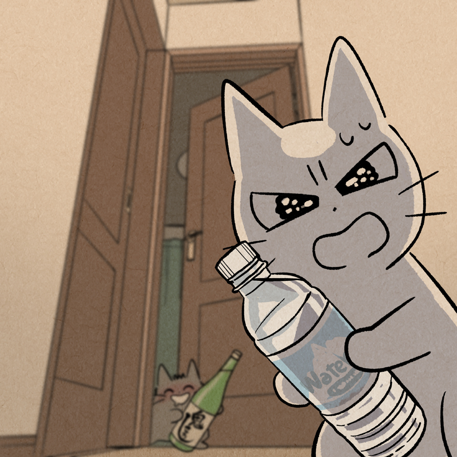 animal, animal_focus, black_eyes, blurry, blurry_background, bottle, cat, door