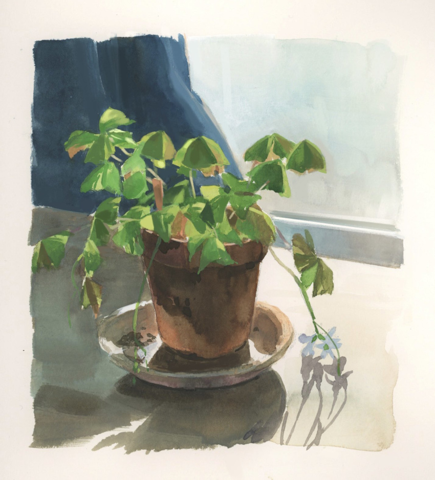 highres, indoors, no_humans, original, plant, plant_focus, potted_plant, seiko11