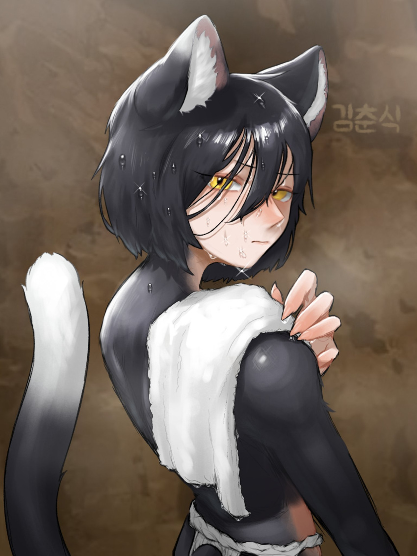 1girl, androgynous, animal_ear_fluff, animal_ears, black_fur, black_hair, brown_background, cat_ears