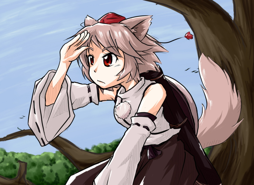 animal_ears, detached_sleeves, hat, in_tree, inubashiri_momiji, ok-desuka, red_eyes, scabbard