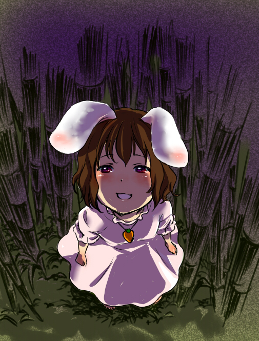 animal_ears, bamboo, bamboo_forest, brown_hair, bunny_ears, carrot, cohal, forest