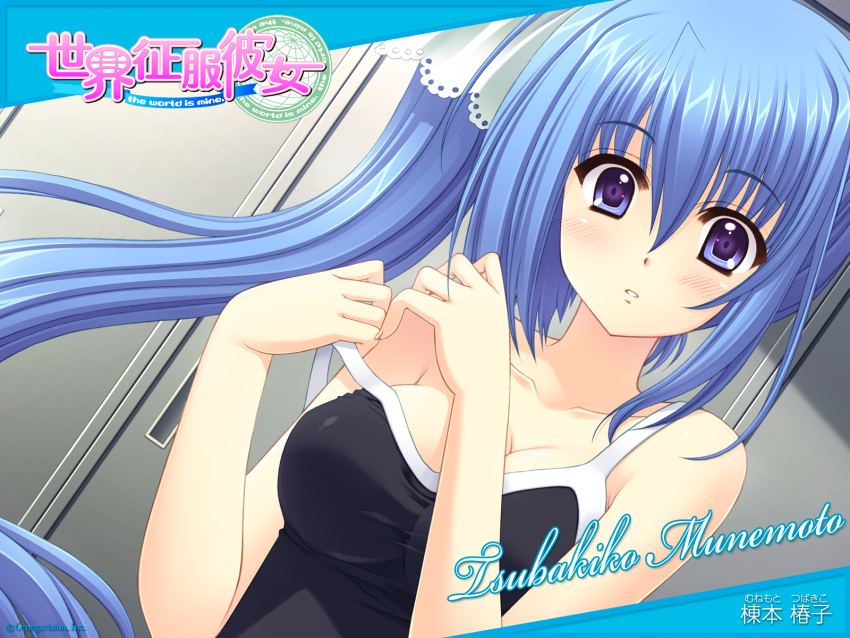 blue_eyes, blue_hair, long_hair, munemoto_tsubakiko, nishimata_aoi, ponytail, school_swimsuit, sekai_seifuku_kanojo