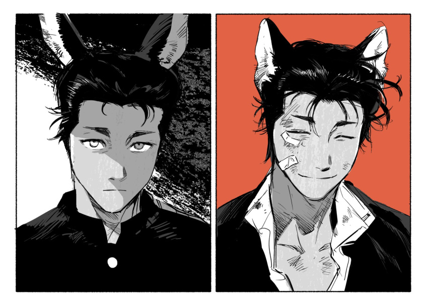 1boy, animal_ear_fluff, animal_ears, atie1225, bandage_on_face, bandages, bone, bruise
