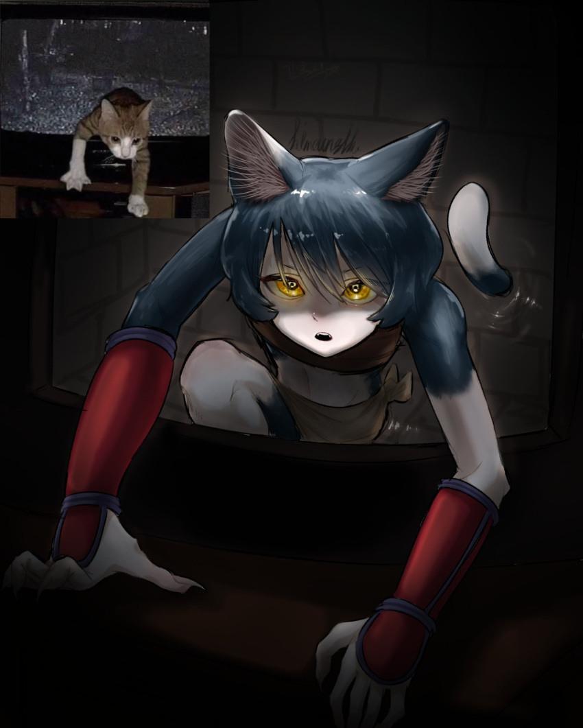 1girl, androgynous, animal_ear_fluff, animal_ears, black_fur, black_hair, body_fur, cat_ears