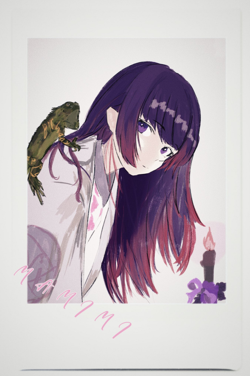 1girl, animal_on_shoulder, candle, character_name, closed_mouth, cobwvmeti, expressionless, hair_down