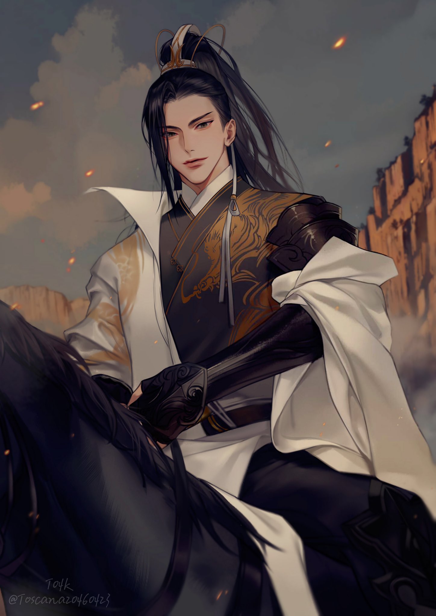 1boy, arm_armor, armor, artist_name, black_coat, black_hair, black_horse, black_pants, blurry, blurry_background, chinese_clothes, closed_mouth, clouds, cloudy_sky, coat, cowboy_shot, dragon_print, fang_yingkan, fingerless_gloves, gloves, grey_eyes, hair_ornament, high_ponytail, highres, holding, holding_reins, horse, horseback_riding, light_particles, long_hair, looking_at_viewer, male_focus, nishui_han, outdoors, pants, ponytail, reins, riding, robe, shirt, shoulder_armor, sky, solo, thick_lips, toscana20460423, twitter_username, white_robe, white_shirt