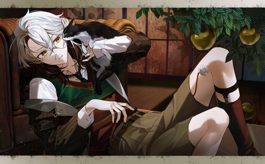 1other, animal, apple, blue_necktie, brown_jacket, brown_shorts, cat, cheongdan_t