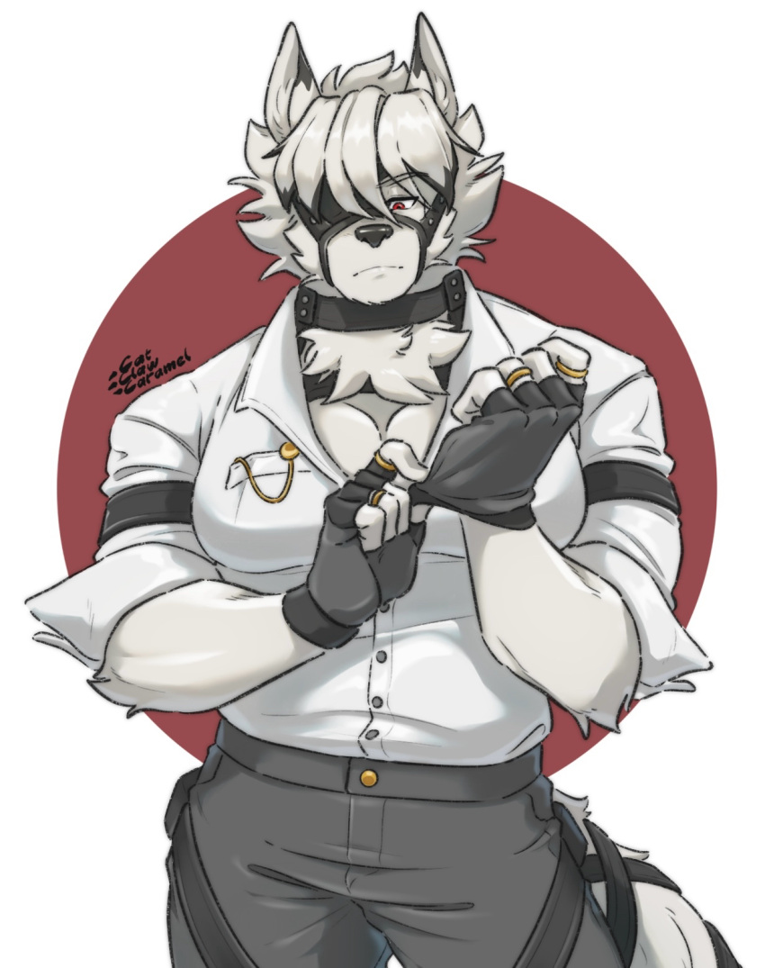 1boy, animal_ears, artist_name, bicep_strap, black_gloves, black_pants, catclawcaramel, claws