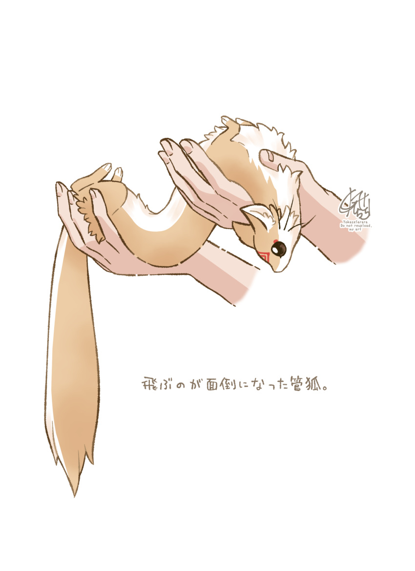 1other, absurdres, animal, animal_ear_fluff, animal_focus, brown_eyes, commentary_request, disembodied_hand