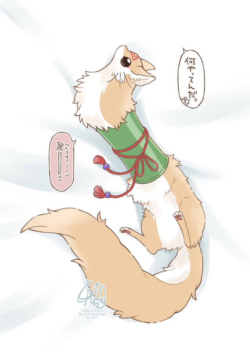 absurdres, animal, animal_ear_fluff, animal_focus, brown_eyes, commentary_request, facial_mark, forehead_mark