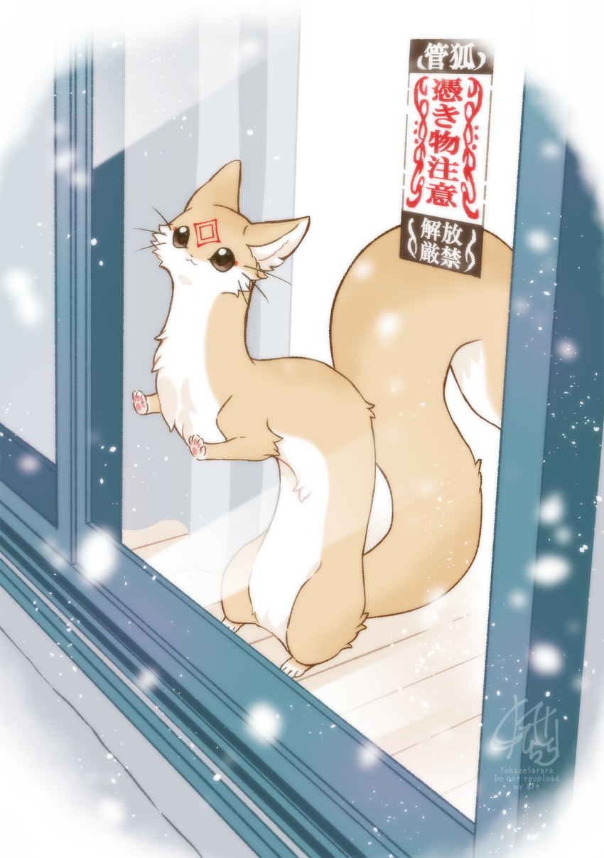 :3, absurdres, against_glass, animal, animal_ear_fluff, animal_focus, brown_eyes, closed_mouth