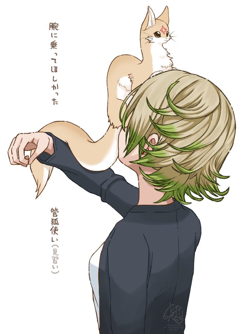1girl, :3, absurdres, animal, animal_ear_fluff, animal_focus, arm_up, black_jacket, blonde_hair, breasts, brown_eyes, brown_fur, dot_nose, facial_mark, facing_away, forehead_mark, fox, green_hair, highres, jacket, kudagitsune, long_sleeves, looking_ahead, multicolored_hair, original, sarara_(yoasobi), short_hair, simple_background, sitting_on_face, small_breasts, solid_circle_eyes, solo, translation_request, two-tone_fur, two-tone_hair, upper_body, whiskers, white_background, white_fur