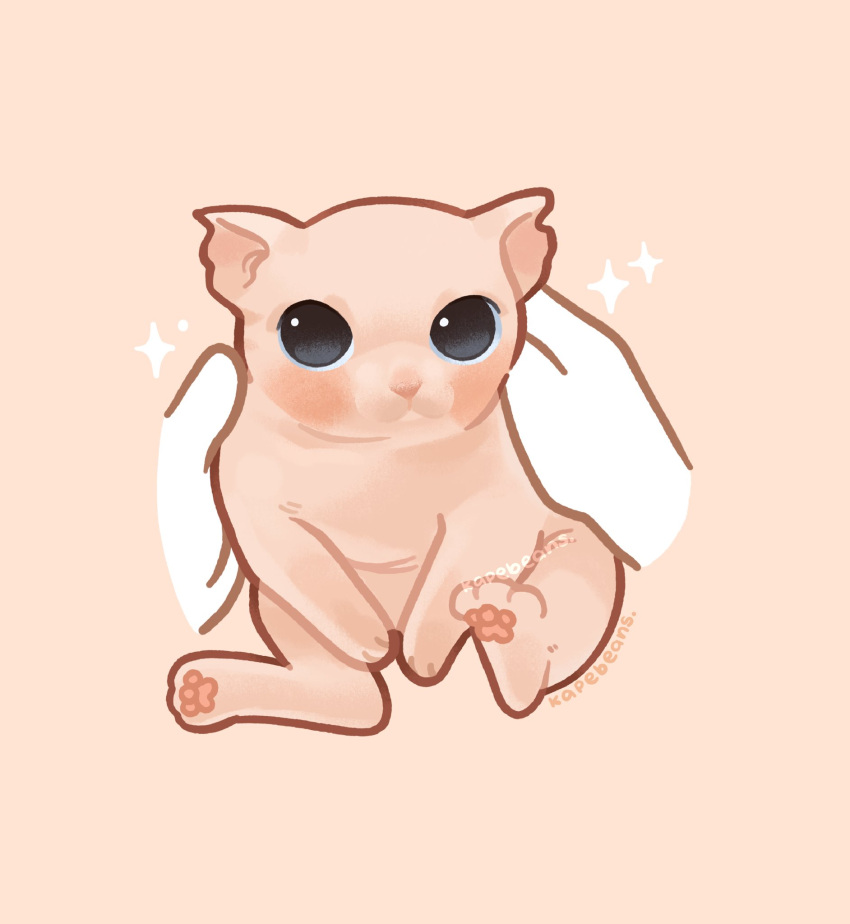 animal, animal_focus, bingus, black_eyes, cat, closed_mouth, commentary, disembodied_hand, highres, holding, holding_animal, holding_cat, kapebeansies, looking_at_viewer, pawpads, pink_background, real_life, signature, simple_background, solo_focus, sparkle, sphynx_cat, symbol-only_commentary