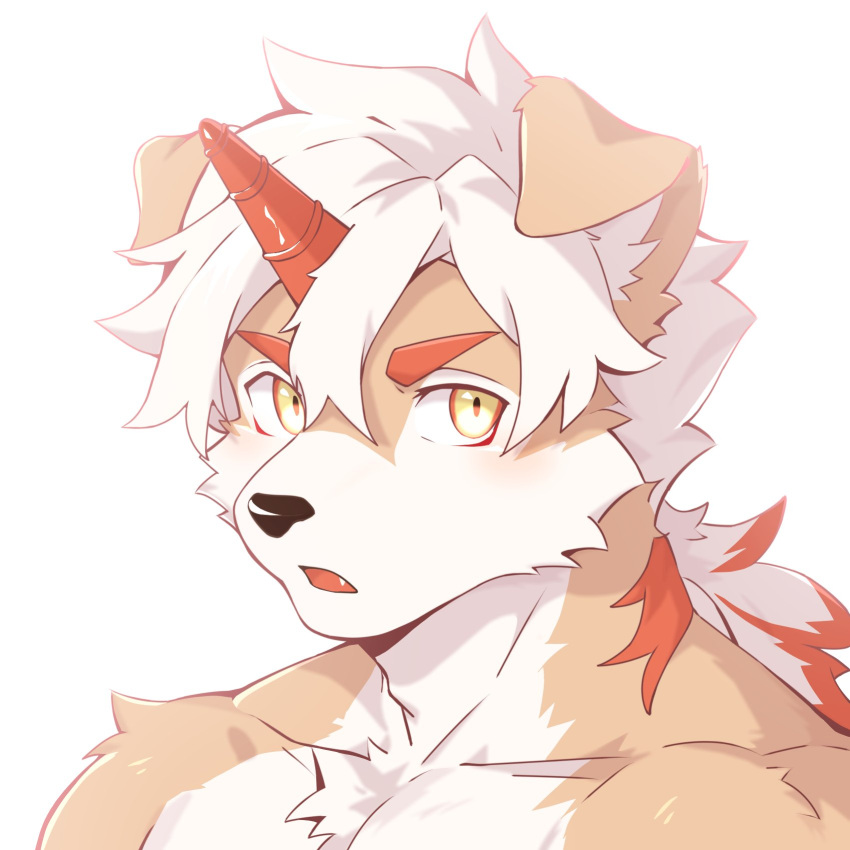 1boy, arknights, chinese_commentary, colored_tips, commentary_request, fang, furry, furry_male