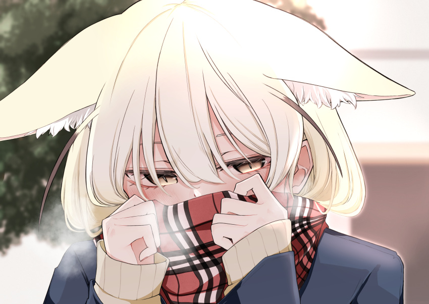 1girl, absurdres, animal_ears, averting_eyes, blonde_hair, blue_jacket, blurry, blurry_background
