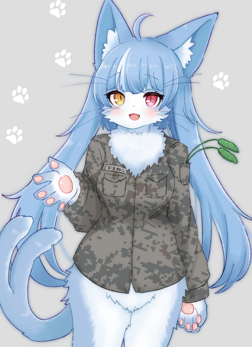 1boy, ahoge, androgynous, animal_ear_fluff, animal_ears, animal_hands, blush, bottomless, camouflage, camouflage_shirt, cat_boy, cattail, cowboy_shot, forked_tail, furry, furry_male, grey_background, heterochromia, highres, japan_air_self-defense_force, japan_air_self-defense_force_omaezaki_sub-base, japan_self-defense_force, long_hair, looking_at_viewer, male_focus, military, mokumokuuma, omaneko, open_mouth, otoko_no_ko, paw_print, paw_print_background, plant, red_eyes, shirt, slit_pupils, smile, solo, tail, whiskers, yellow_eyes