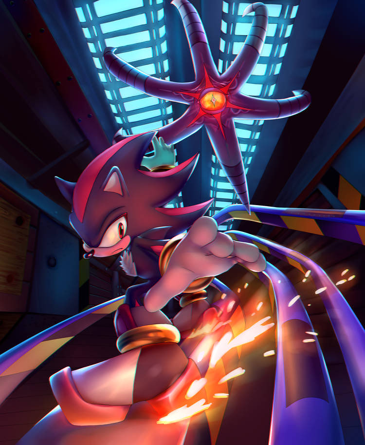 1boy, 1other, animal_ears, black_doom, black_fur, bracelet, chaosc0ntr0l, doom's_eye_(sonic)