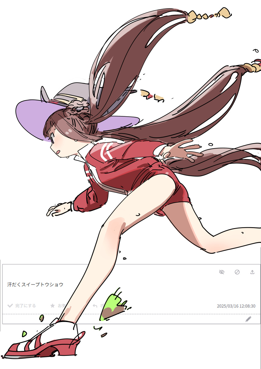 1girl, absurdres, braid, brown_hair, foot_out_of_frame, haruyuki_(gffewuoutgblubh), hat, highres