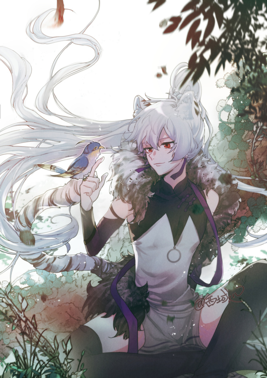 1boy, animal, animal_ear_fluff, animal_ears, artist_name, bird, bird_on_hand, black_thighhighs