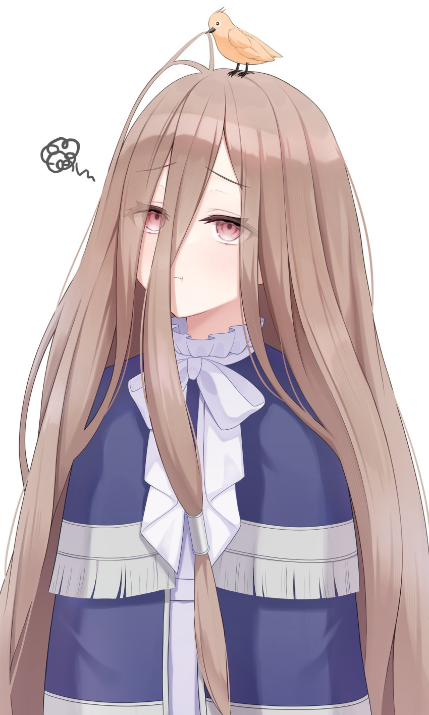 1girl, animal_on_head, bird, bird_on_head, blue_cloak, blush, brown_eyes, brown_hair
