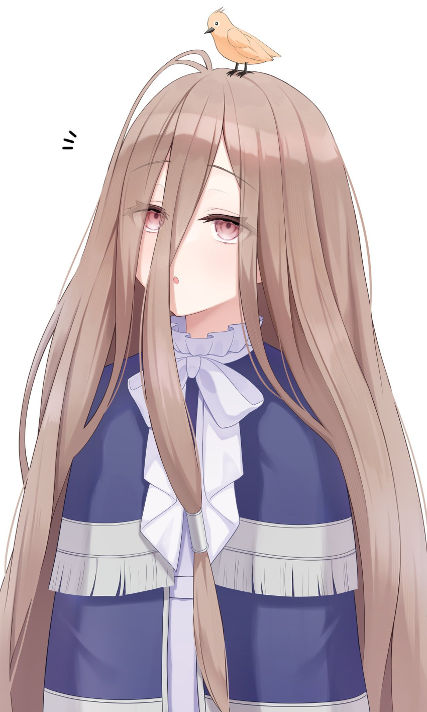 1girl, animal_on_head, bird, bird_on_head, blue_cloak, blush, brown_eyes, brown_hair